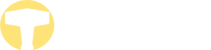 Services - Viking Software A/S
